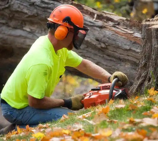 tree services East Northport